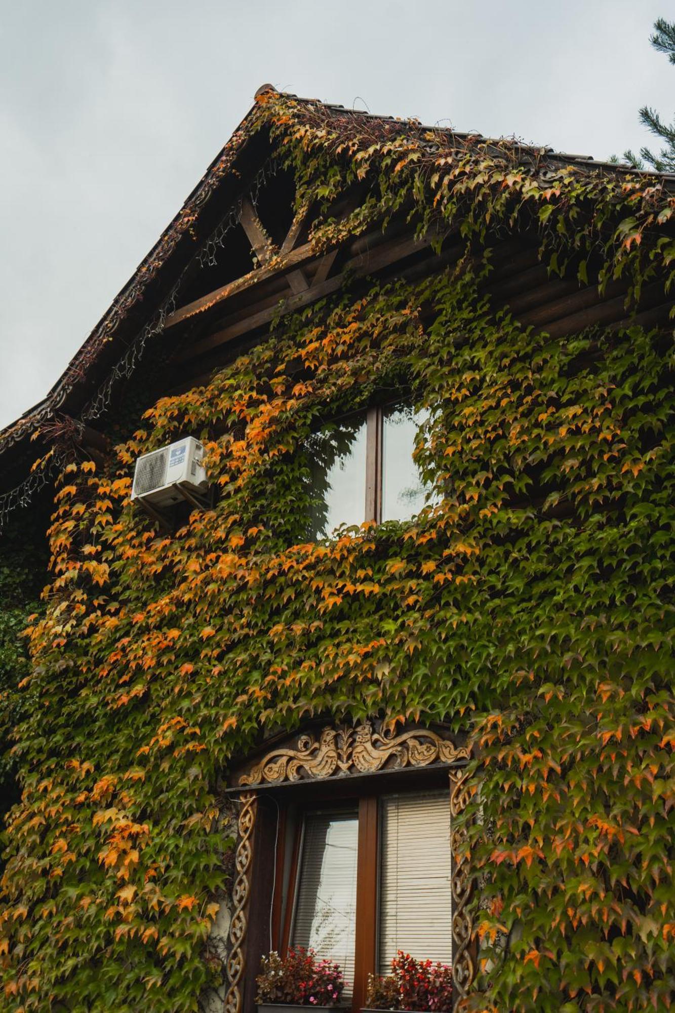 Villa Garden Hotel Soločin Exteriér fotografie