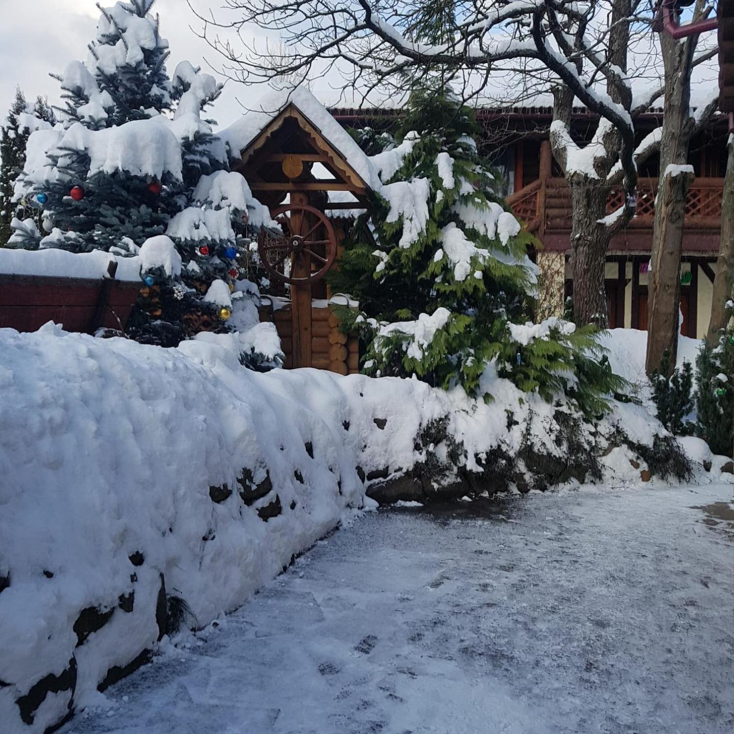 Villa Garden Hotel Soločin Exteriér fotografie